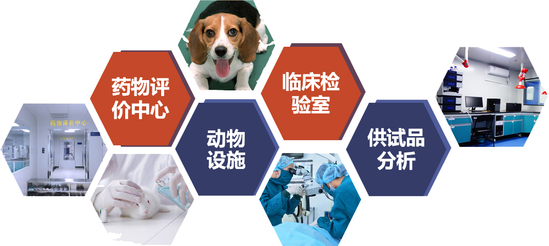 U乐国际·(中国)首页